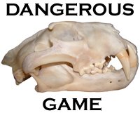 Dangerous game skull